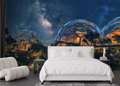 Eco-Friendly Domes Under Starry Night Sky Wall mural