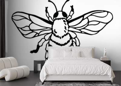 Honey bee in doodle style. Hand drawn clip art illustration. Wall mural