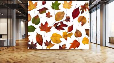 fallen leaf Wall mural