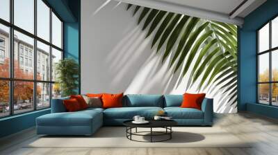 green palm leaves and shadows Wall mural