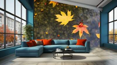 pond with autumn Wall mural