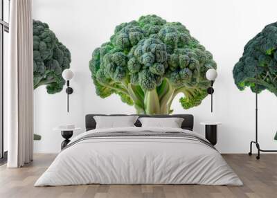 Broccoli florets set isolated on transparent background with fresh green vegetable bunches Wall mural