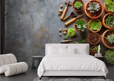 Succulent plants and gardening tools on concrete background with space for creativity Wall mural