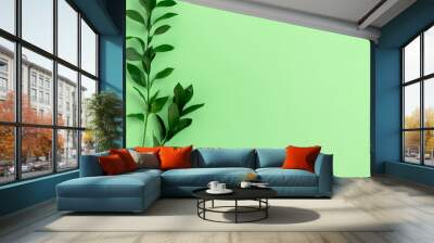 Ruscus branches on green pastel background with copy space Wall mural