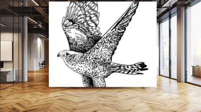 illustration black and white bird wings eagle hawk flying Wall mural