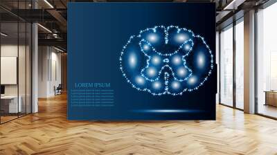 spinal cord polygon blue stars 2 Wall mural