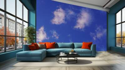 Cielo Wall mural