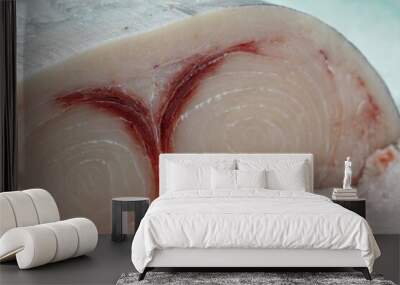 A piece of swordfish meat Wall mural