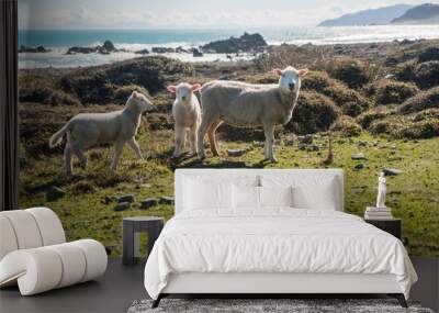 A sheep and lambs standing on a beach in New Zealand.  Wall mural