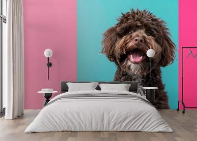 Happy Spanish Water Dog on pink and blue background Wall mural