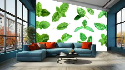 Set of fresh mint leaves on transparent background Wall mural