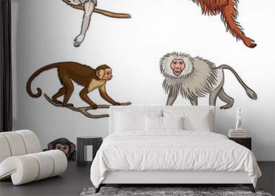 Set of different monkeys - vector illustration Wall mural