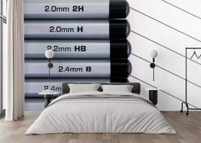 gray graphite pencils with graphite grading scale in a row on lined paper. Wall mural