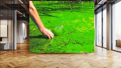 Global pollution of the environment and water. A man collects green water in a bottle for analysis. Water bloom, reproduction of phytoplankton, algae in the lake, river, poor ecology Wall mural