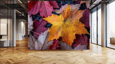 Vibrant autumn foliage showcasing contrasting colors of yellow, red, and purple leaves, creating a beautiful fall season backdrop Wall mural