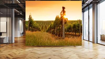 evening view of the vineyards Wall mural