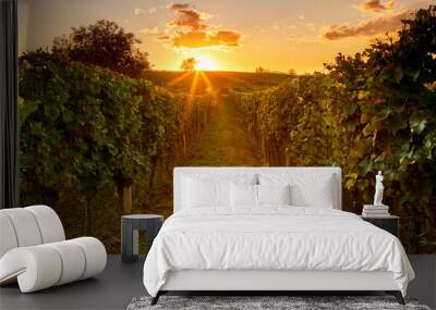 Romantic sunset in the vineyard, autumn landscape Wall mural