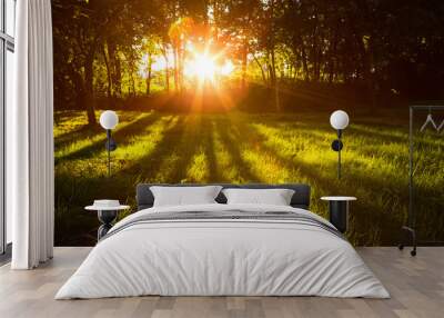 Sunlight green forest in summer time Wall mural