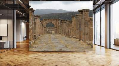 View of the ruins of the Roman city of Djemila. Cardo Maximus Road. The city was inhabited from 1.-6. century AD. Today it is on the UNESCO World Heritage List. Algeria. Africa. Wall mural