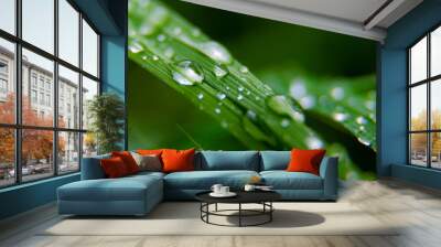 Green leaf with drops of water Wall mural