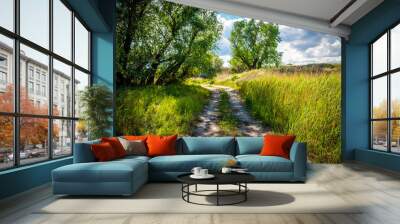 Summer landscape: a dirt road in a green field and a birch grove against a lake and a blue cloudy sky Wall mural