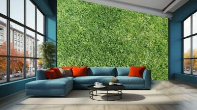 Green grass meadow background Wall mural