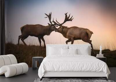 male deers, AI generated Wall mural