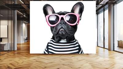 a dog wearing a shirt and sunglasses Wall mural