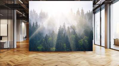 Misty mountain landscape Wall mural