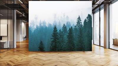 Misty mountain landscape Wall mural