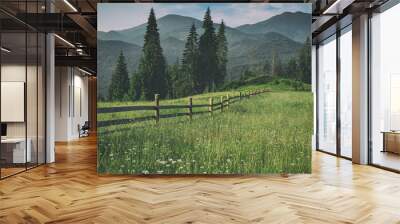 Mountain summer landscape Wall mural