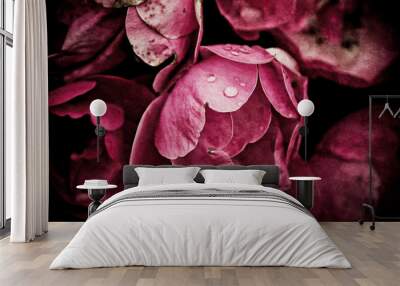 Peony flowers Wall mural