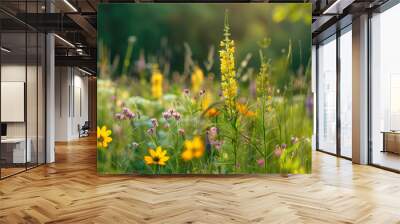 Summer green rural meadow with field plants and flowers, countryside seasonal landscape with sun Wall mural