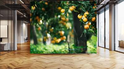 Tangerine sunny garden Wall mural