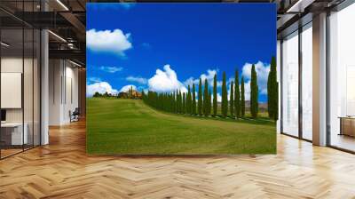 Villa in Tuscany with cypress road and blue sky with white clouds, idyllic seasonal nature landscape vintage hipster background Wall mural