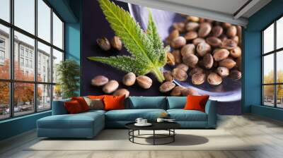 Cannabis (hemp) seeds and tiny leaf with visible trichomes - medical marijuana concept Wall mural