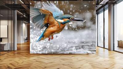 A Kingfisher in Flight with a Catch Wall mural