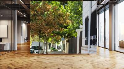 A vertical shot of the pathway beside the buildings Wall mural