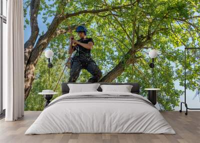 Arborist checking safety ropes Wall mural