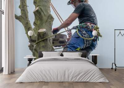 Tree Surgeon on tree stem Wall mural