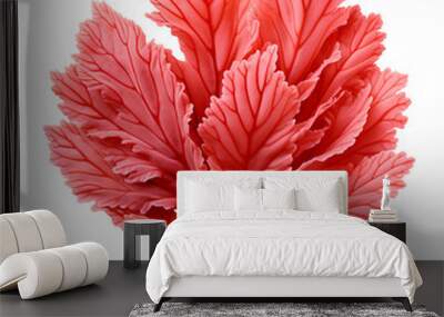 coral leaf isolated on transparent background Wall mural