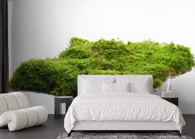 Green moss isolated on white background and texture Wall mural