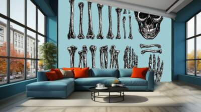 Vintage Skull head vector human bones, hand drawn illustration Wall mural