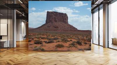 Grand Canyon National Park, United States of America, Arizona. The Sonoran desert is a sandstone and limestone rock formation that the erosive phenomena have designed over millions of years. Wall mural