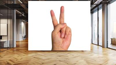 hand showing sign, two, peace, isolated on transparent background, PNG Wall mural