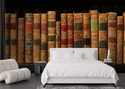 vintage books on wooden shelf. Wall mural