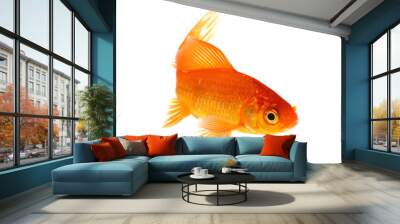 Goldfish Isolated on White Background Wall mural