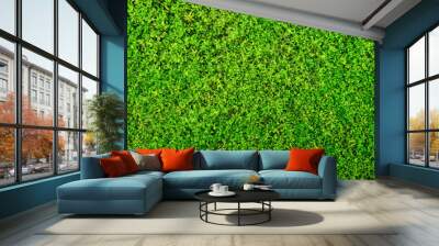 Green moss  background Wall mural