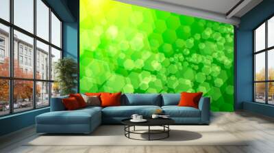 hexagon background green Wall mural