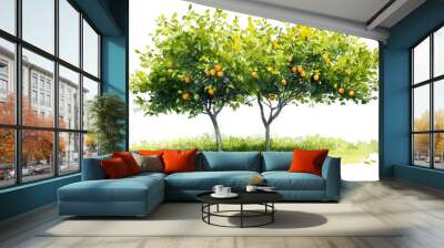 Two lush orange trees laden with fruit, set against a green grassy background, creating a vibrant natural scene. Wall mural